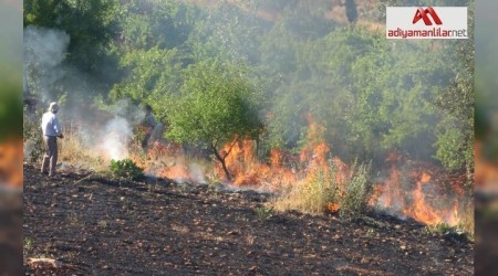 Orman yangnna ilk mdahale gazeteciler ile vatandalardan geldi